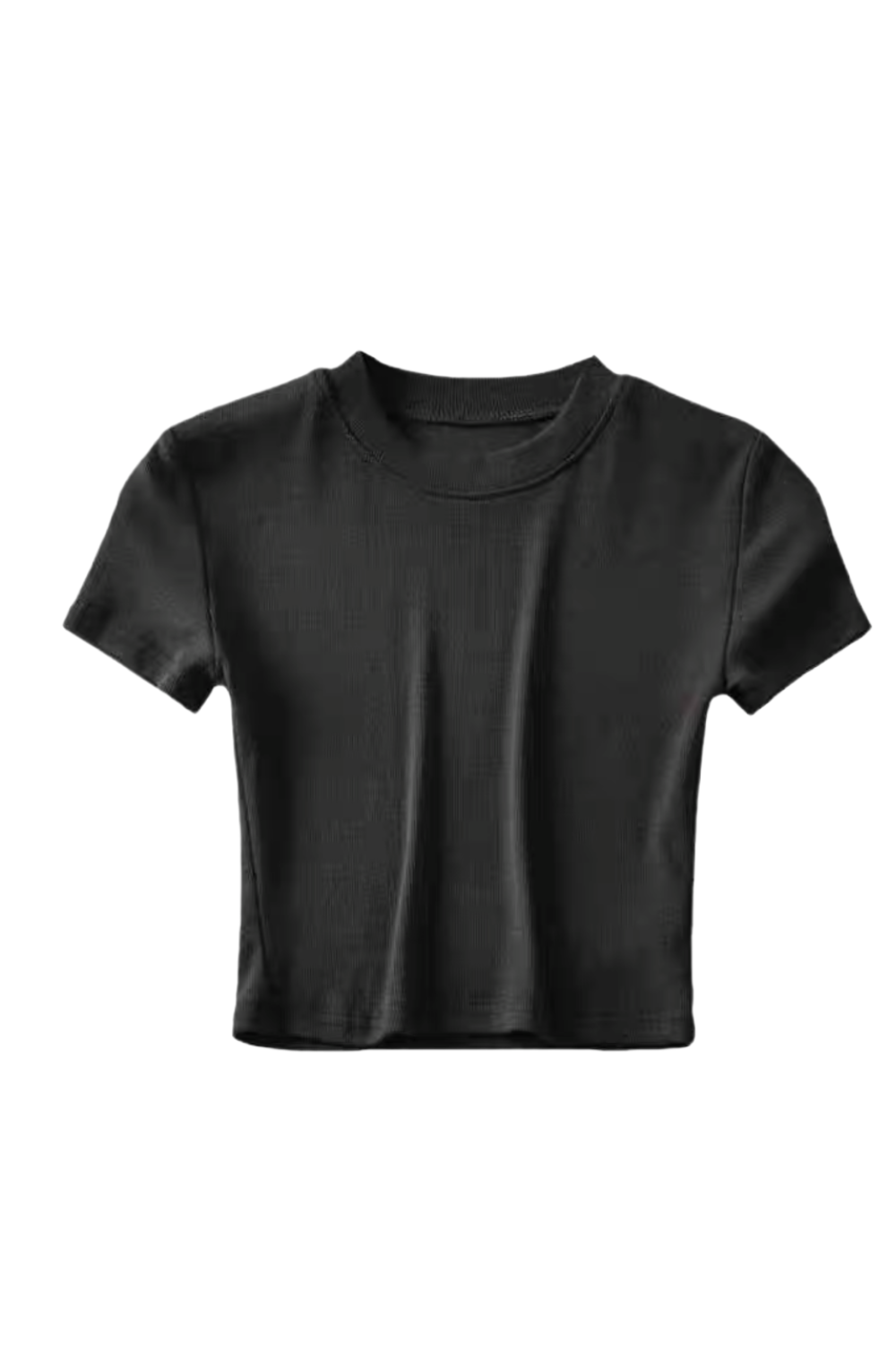 'Dakota' Round Neck T-Shirt Top (4 Colors)