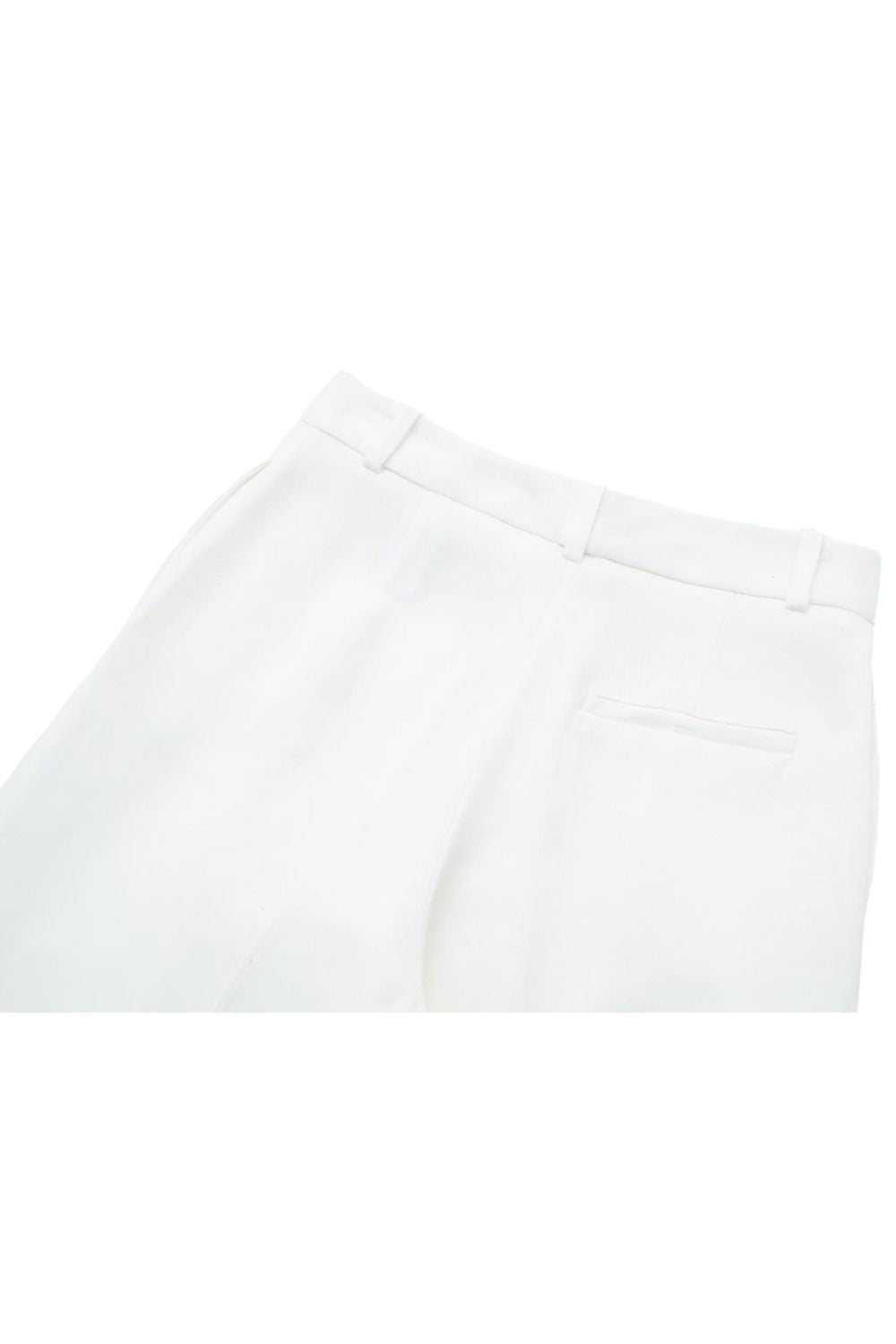 'Zhanetta' Pleated High Waist Wide Leg Pants